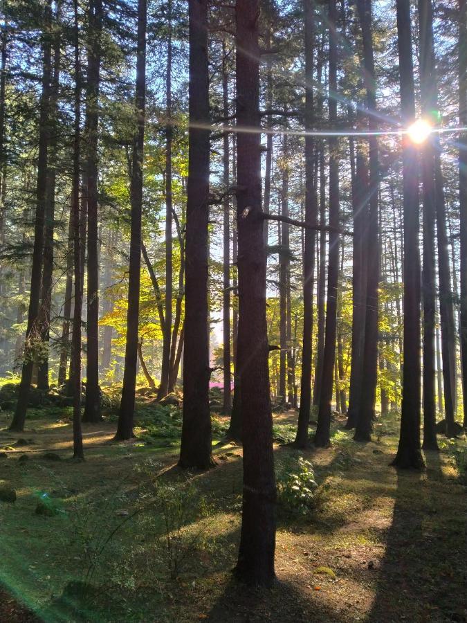 The Hosteller Manali Экстерьер фото