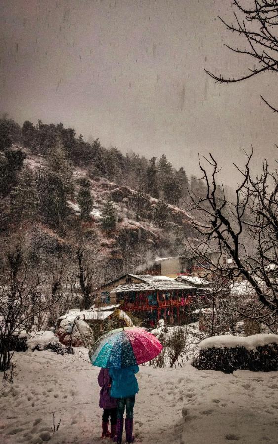 The Hosteller Manali Экстерьер фото